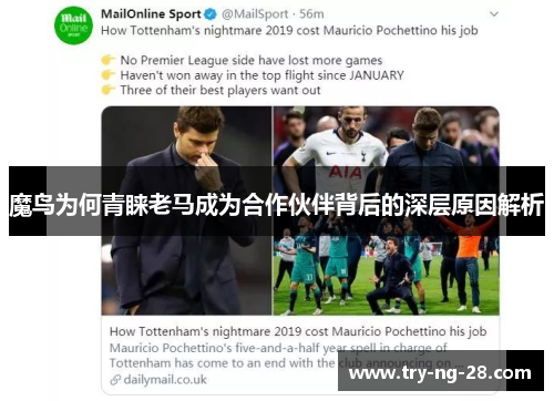 魔鸟为何青睐老马成为合作伙伴背后的深层原因解析 魔鸟为何青睐老马成为合作伙伴背后的深层原因解析