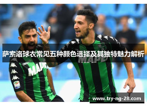 萨索洛球衣常见五种颜色选择及其独特魅力解析