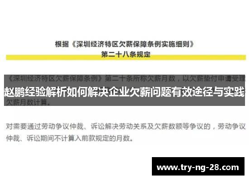 赵鹏经验解析如何解决企业欠薪问题有效途径与实践